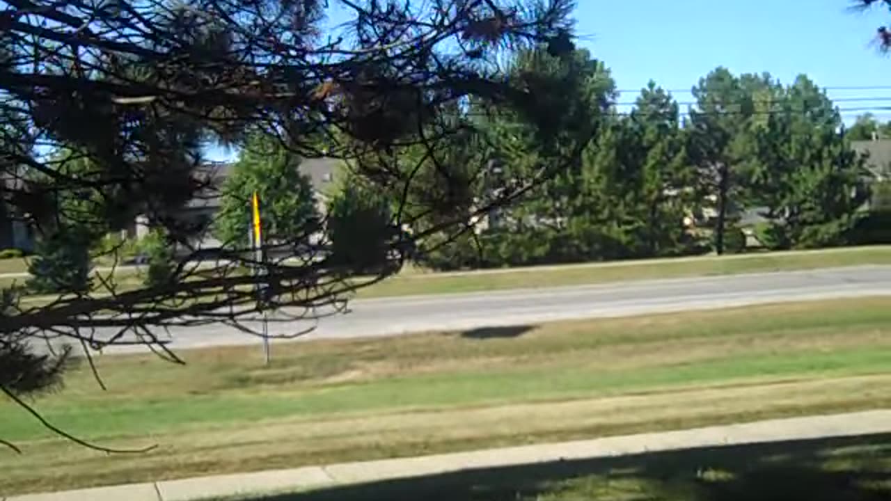 THE SHEA SHOW TAKING A DAY OFF,, COME HANG OUT