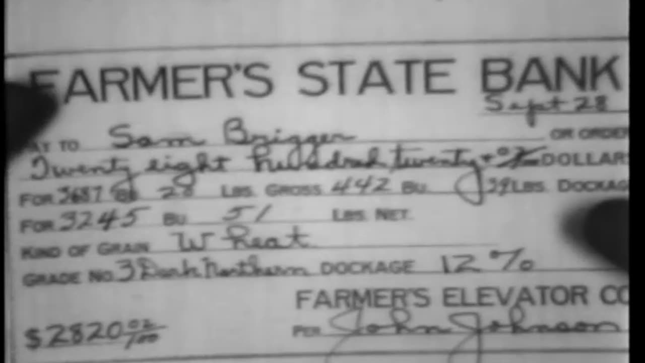 WHEAT OR WEEDS - WHEAT OR WEEDS - 33-227