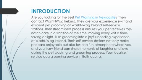 Best Pet Washing in Newcastle