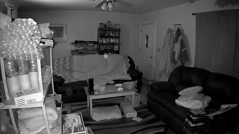 😱👽 What Are We Looking At? | TheHauntingHour