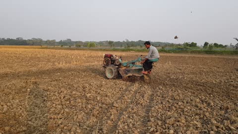 Land cultivation in Bangladesh