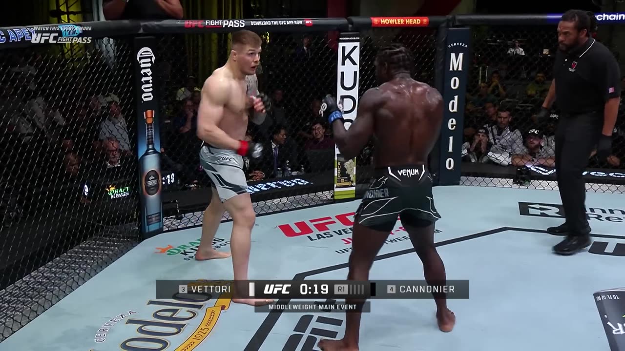 UFC bloody arena