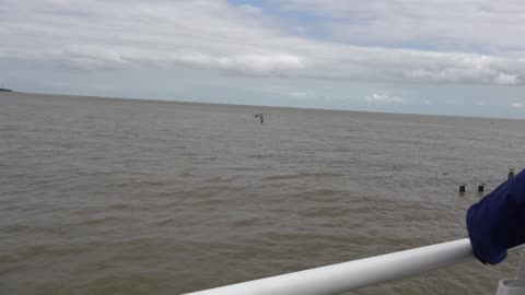 August 21 2025 At Clacton On Sea Essex Air Show Event display Part 1