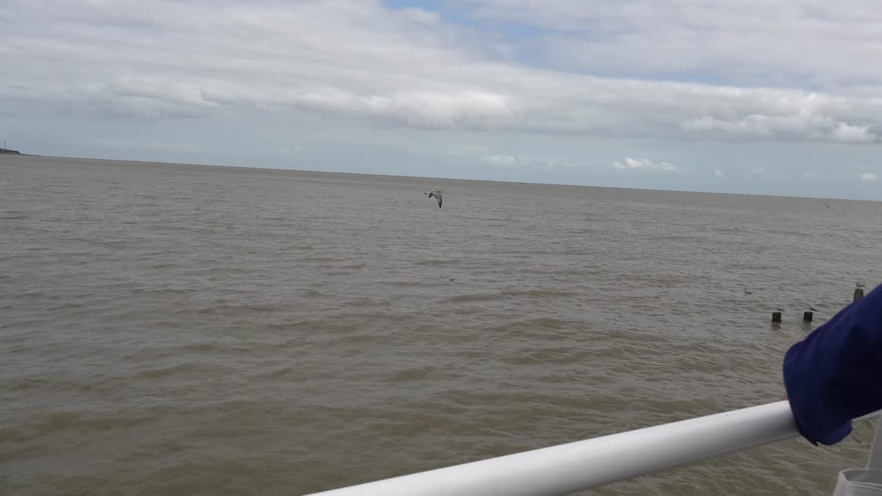 August 21 2025 At Clacton On Sea Essex Air Show Event display Part 1