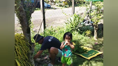 Northpaul Episode 561