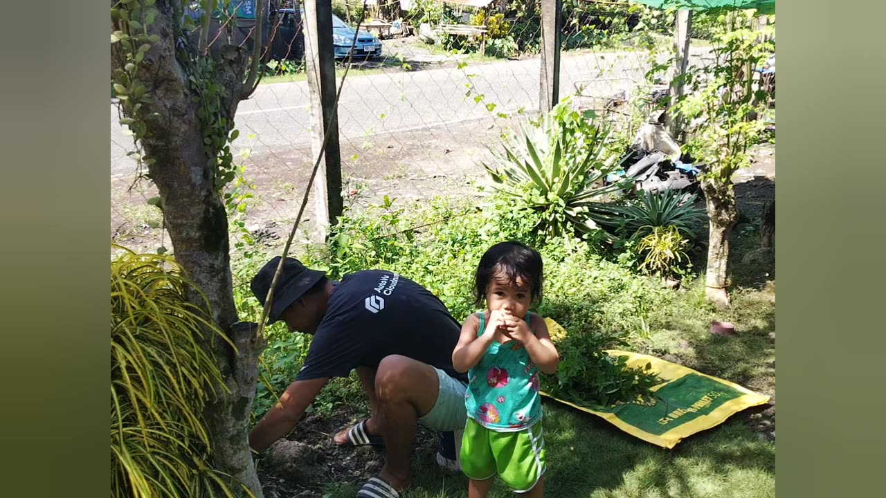 Northpaul Episode 561