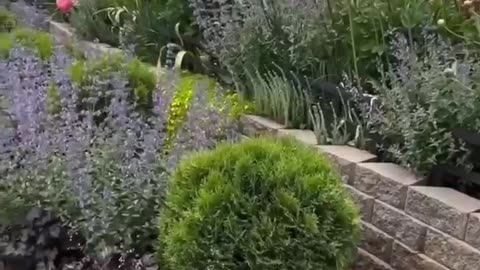 Idea of arranging the area along the fence with a raised flower bed