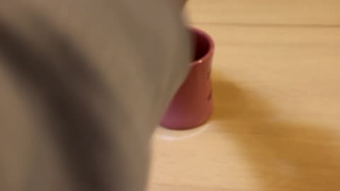 Peleg Design Charming Cookie Tea Infuser Gadget Review