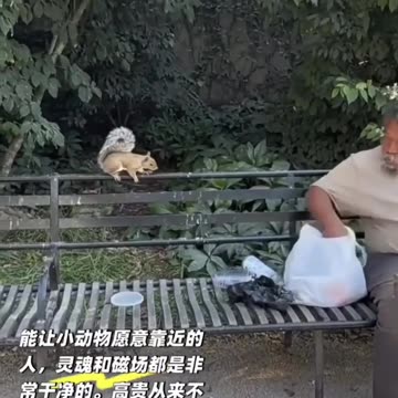 潔淨的靈魂和磁場，為地球帶來的美好和喜悅，是金子也買不到的！