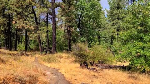 Hiking Mt. Laguna 4 - Big Laguna Lake and Water of the Woods