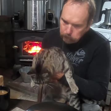 Lunch Date with a Purrfect Friend_ Wholesome Cat Interaction! #livingoffgrid #cats