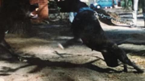 J.Cole - The Climb Back (432hz)