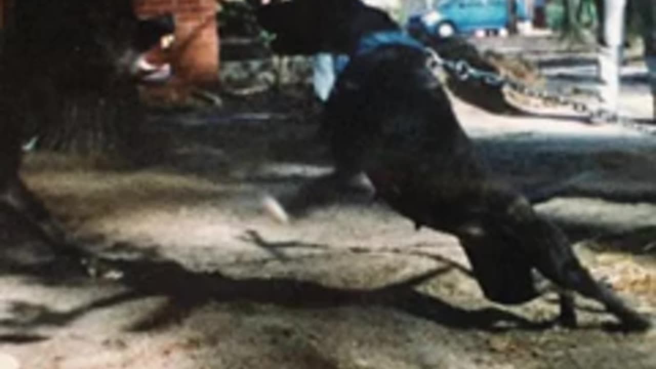 J.Cole - The Climb Back (432hz)