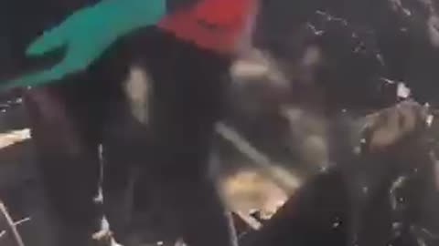 All victims were martyred, the majority were children