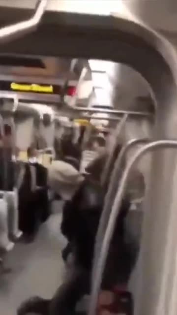 Black attacks woman on train