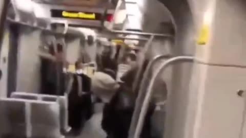 Black attacks woman on train