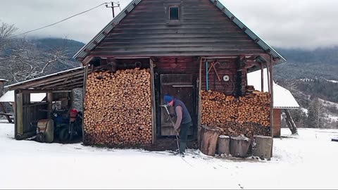 How We Survive Seasonal Changes in the Countryside.First Snow Shock!