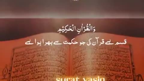 Beshak 💯♥️✨🕊️