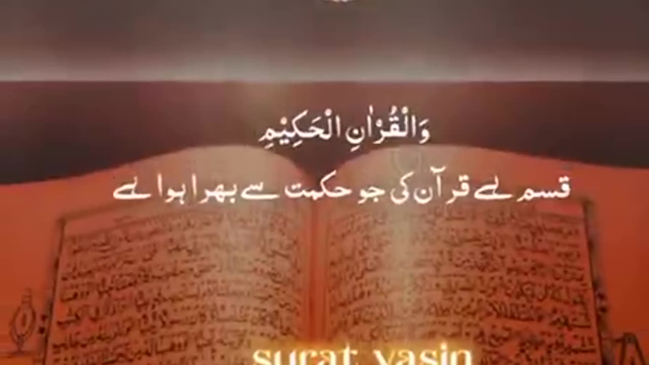 Beshak 💯♥️✨🕊️