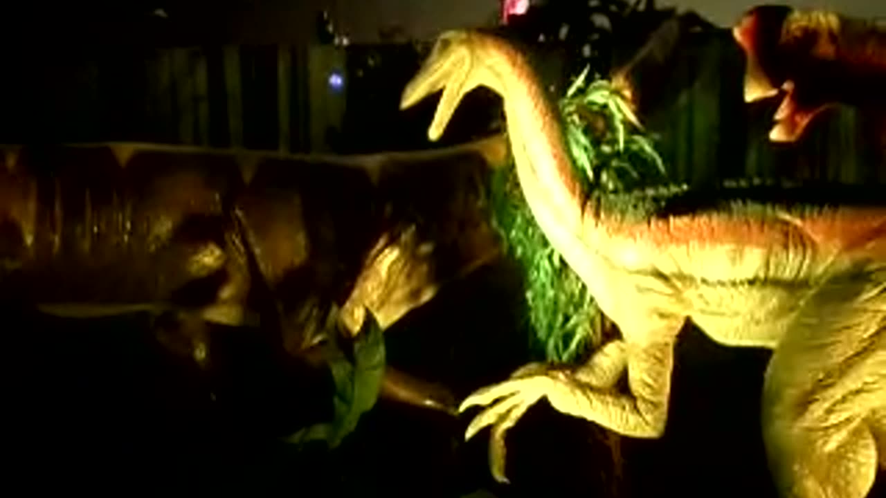 Camera battry goes extinct