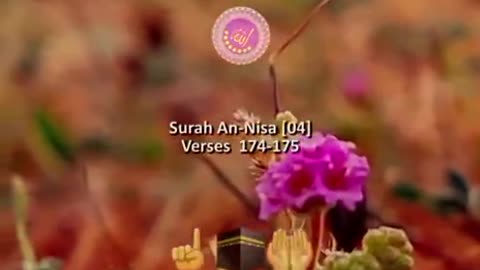 Beshak 💯☝️🕋