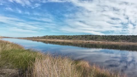 Chripmaz Trekking and Birdwatching in Lagoa de Sto Andre 26th DEC 2025 pt 5
