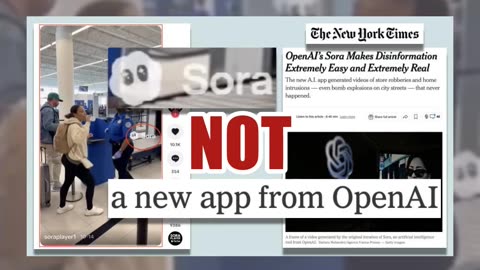 Fact Check: Video Of TSA Agents Waving Passengers Through Unchecked Because Of Shutdown Is NOT Real