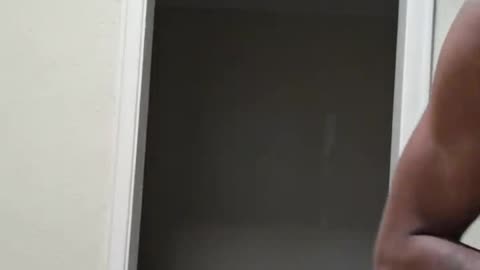 Compton coon wahs over pizzas