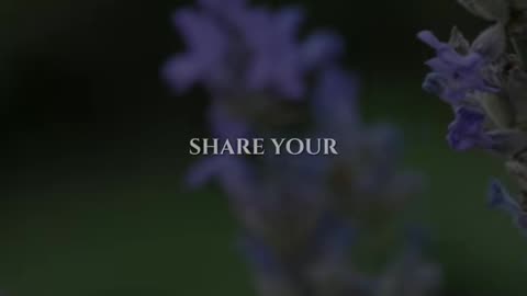 🙏✨ Sunday's Prayer | Celebrate God's Glory & Praise | InGodWeTrustDaily