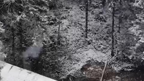 Bigfoot Sighting Supposed to Stay Secret