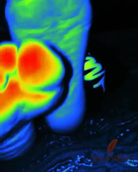 Last night, ticklish night