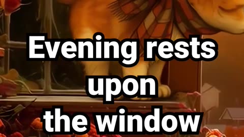 Evening rests upon the window ledge #natureambience #eveningmeditation #studysounds
