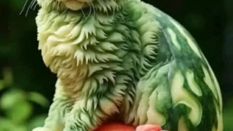 Funnyanimal