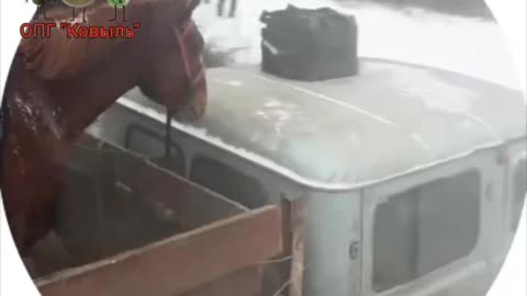 Russian cavalry prepares for assault...