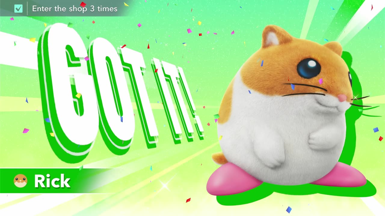 Kirby Air Riders (5)