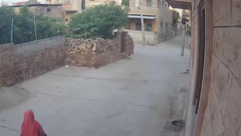 I'm on the bull's side (1)