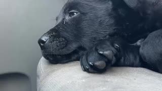 Woe Day 63. I am in the ark. Waiting for GOD to open the Door for a spring/summer Pentecost rapture