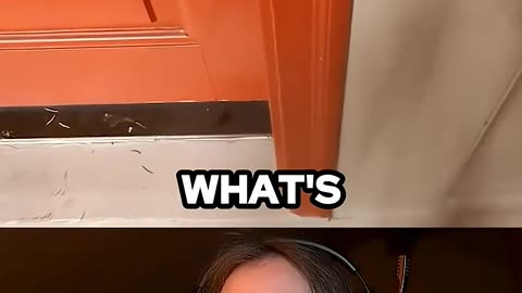 They're Getting Paid To Do Nothing 😭