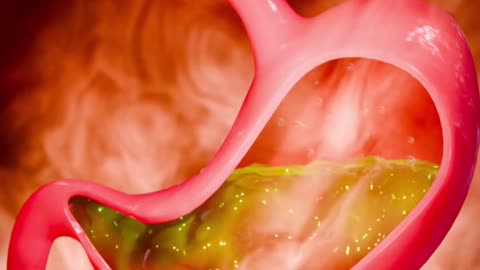 The Magnesium Absorption Secret