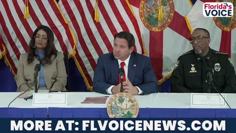 Gov DeSantis smacks woke reporter on proper name for 'undocumented immigrants'