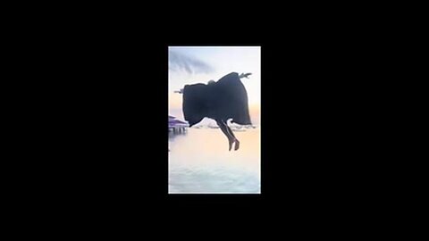 HE BELIEVED HE COULD FLY