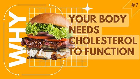 Cholesterol Explained: Why Your Body Needs LDL & HDL to Survive | Dr. Ferghal Armstrong & MedHeads