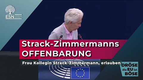 Strack-Zimmermann wegen Rüstungsindustrie-Provision befragt