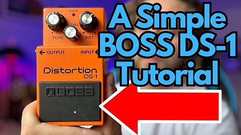 How to Use the BOSS DS-1