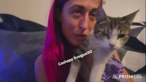 🛑 VP (P1 NO CHAT) W/HER NEWLY FOUND FERAL CAT, BEAN, @ BRANDON'S GETTING HIGH 1-22-26