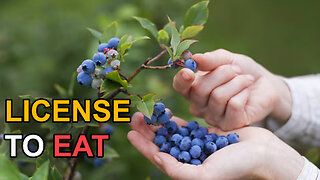 License to Eat | Dumbest Bill in America