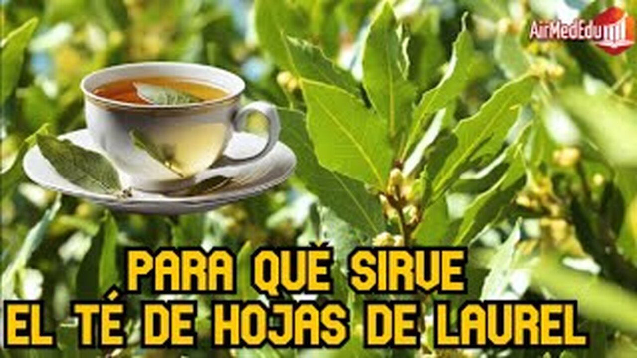 Para qué sirve el Té de Hojas de Laurel