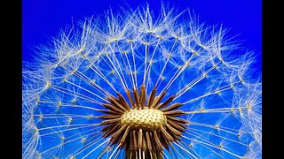POWERFUL LIFE LESSONS FOR HAPPINESS & JOY • CONFIDENCE & FREEDOM • FULFILMENT & SUCCESS