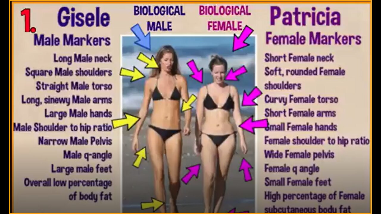 HOW TO TELL A MAN ⚦ FROM ♀ A WOMAN (Must Watch!)..........