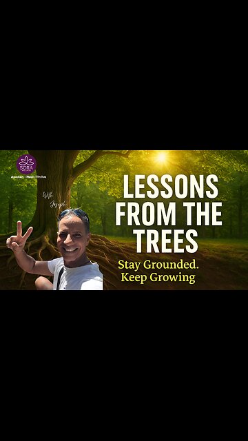 Lessons From Trees
